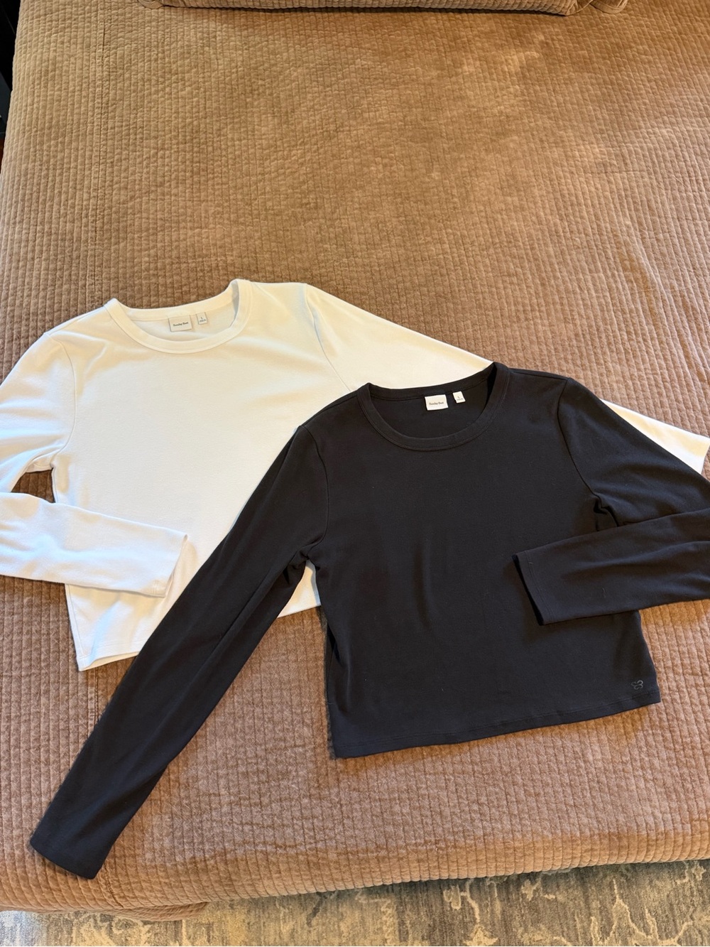 Aritzia Long sleeve shirts